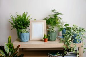 Stylish green plants of home garden interior with mock up poster frame on white background walls.