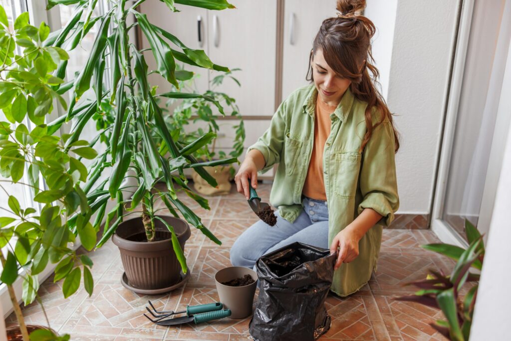 Woman planting potted house flowers