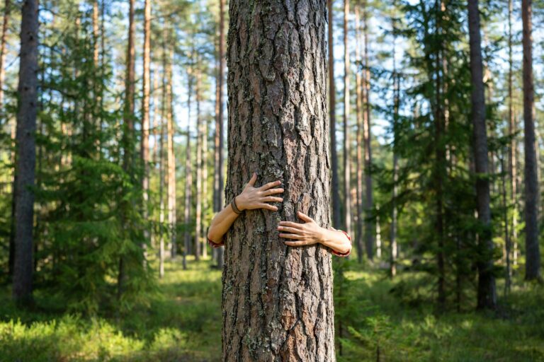 Hands of man plants lover volunteer hugging cuddling embracing tree trunk in forest. Eco friendly.