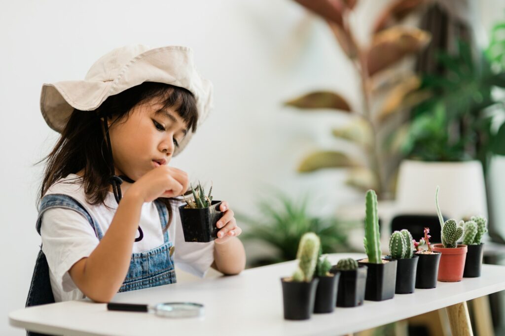 kid gently touch new stem of the cactus he grows with care,