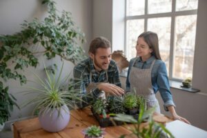 Man and a woman discussing the planting of succulents