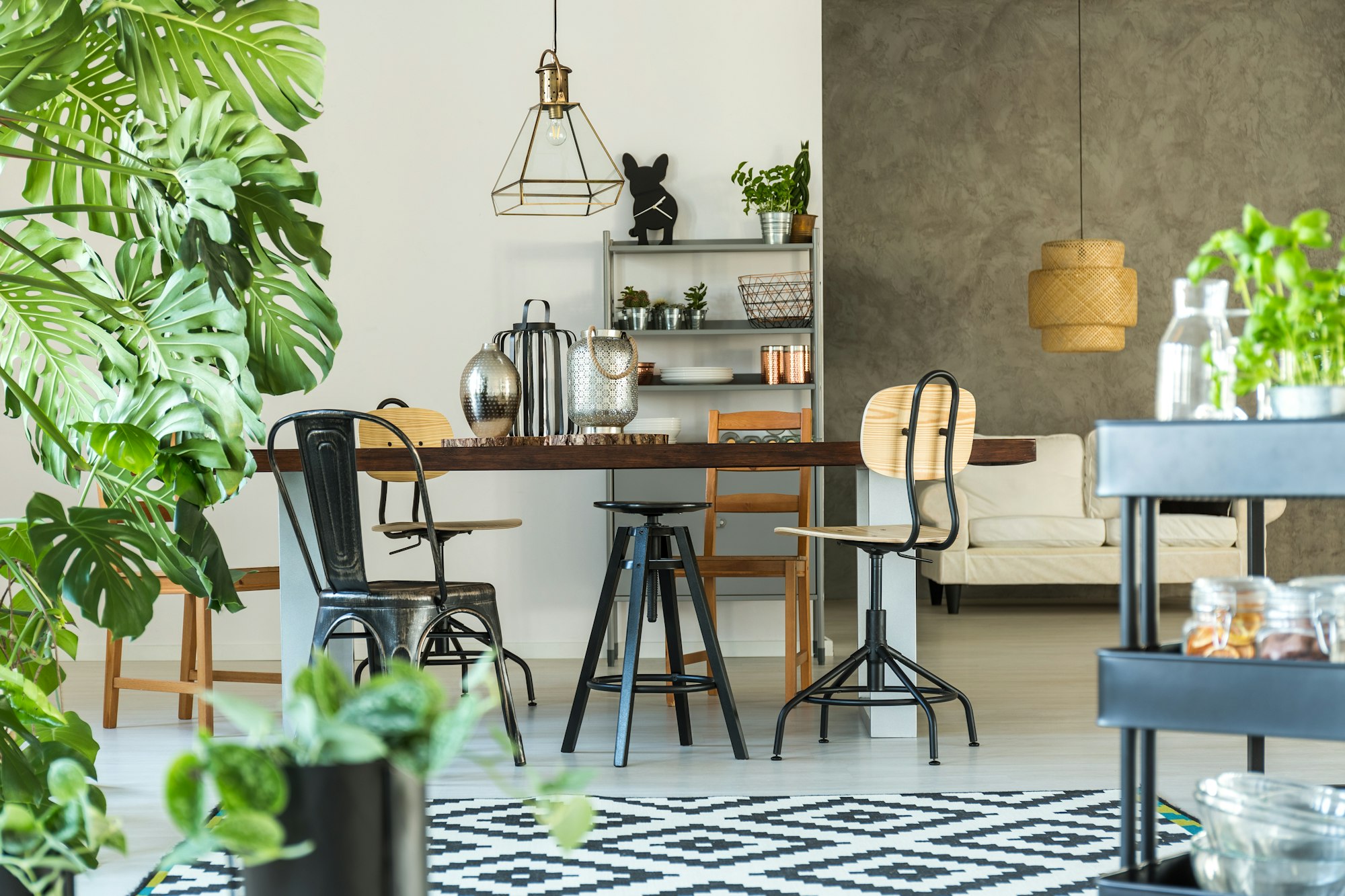 Modern dining room with monstera