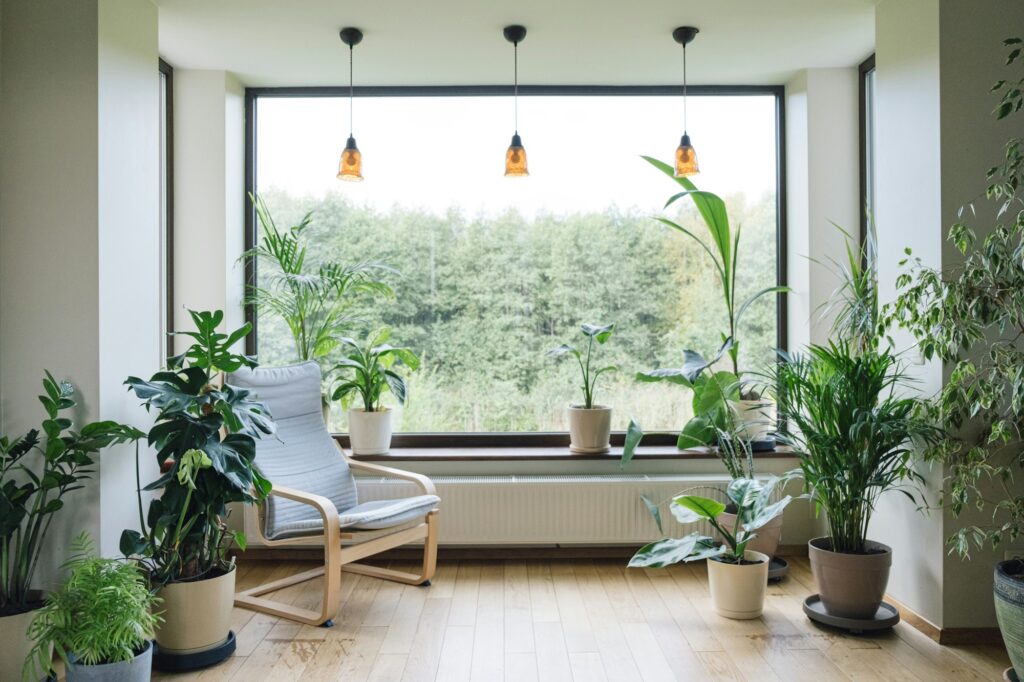 Modern interior with indoor plants, monstera, palm trees.