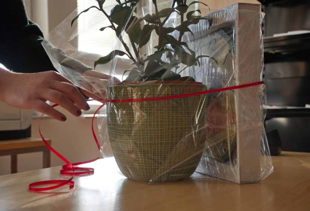 Cropped photo of hands wrapping gift and potted plant